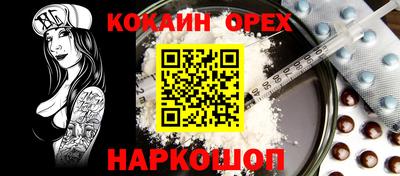 МДПВ Кингисепп