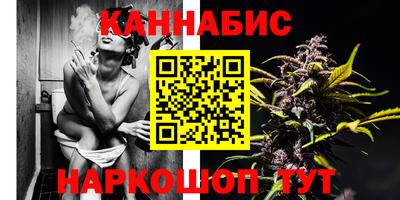МДПВ Кингисепп