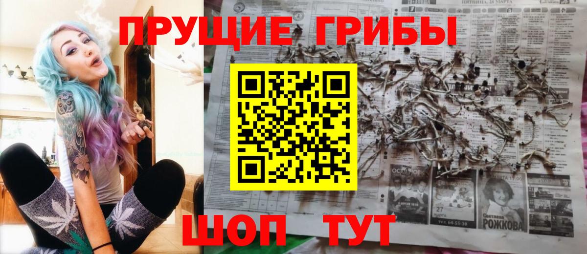 Железногорск  Псилоцибиновые грибы прущие грибы  Вход с VPN 